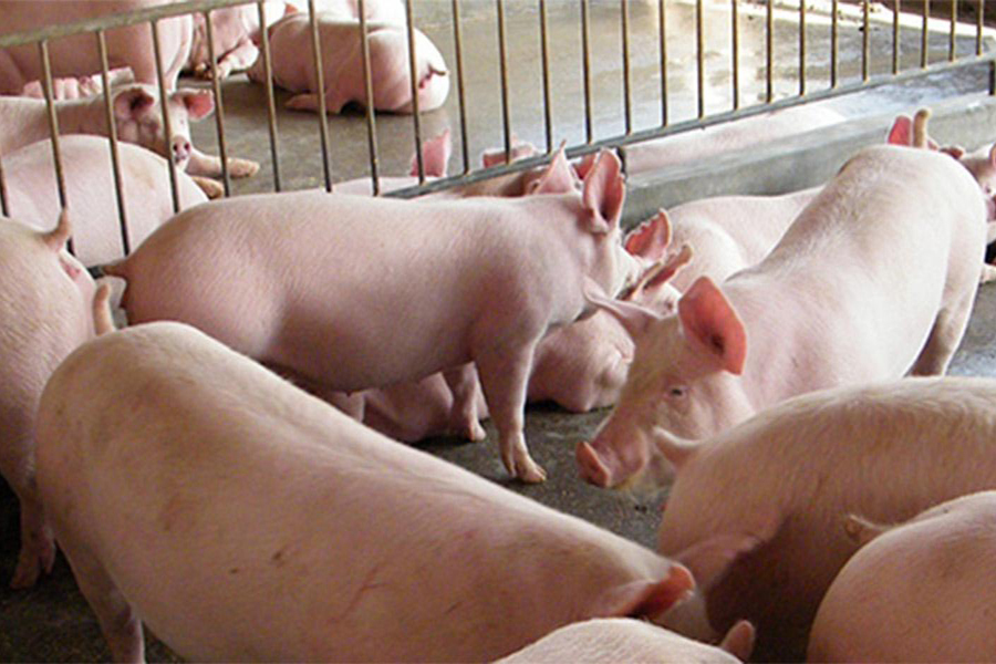 輪儲(chǔ)即將開啟，市場(chǎng)情緒一般！