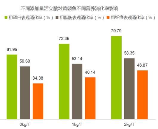 水產(chǎn)案例5：活立酸對(duì)黃顙魚(yú)的消化率的提升