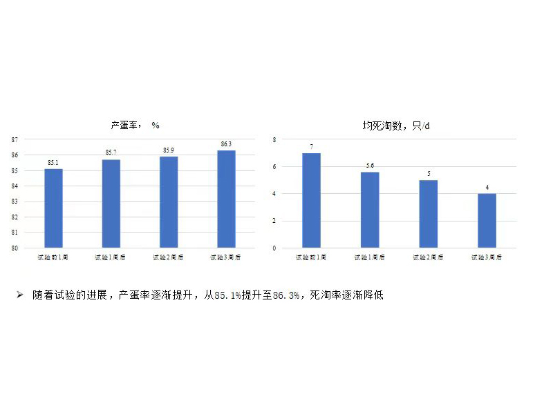 案例2：安恩暢優(yōu)L在蛋雞上的應(yīng)用