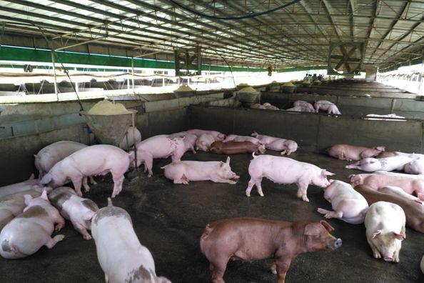 1706259028163279.jpg 1706258890874310.jpg